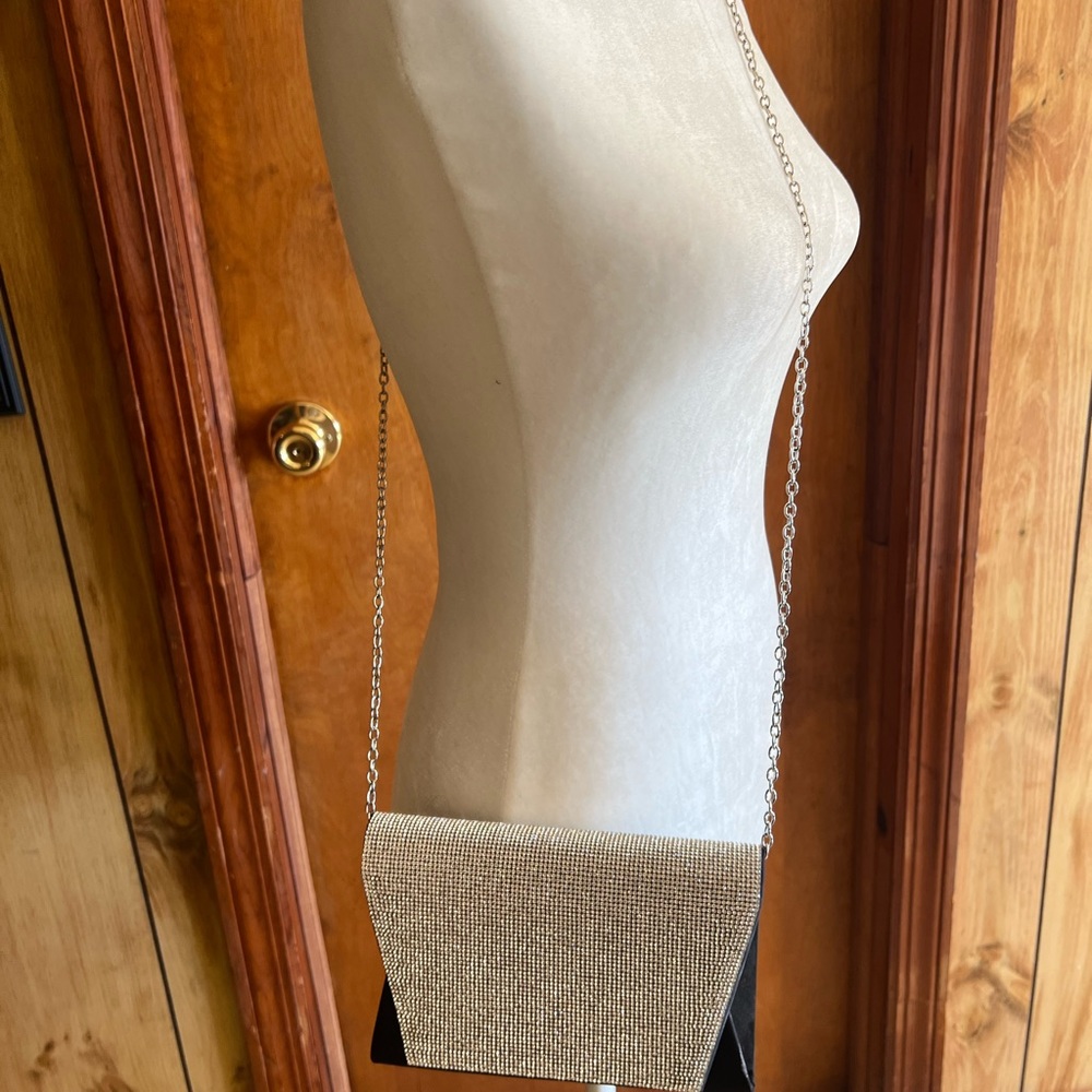 Beautiful Evening Bag